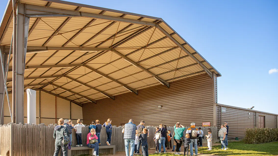 Paléopolis, la colline aux dinosaures_Gannat