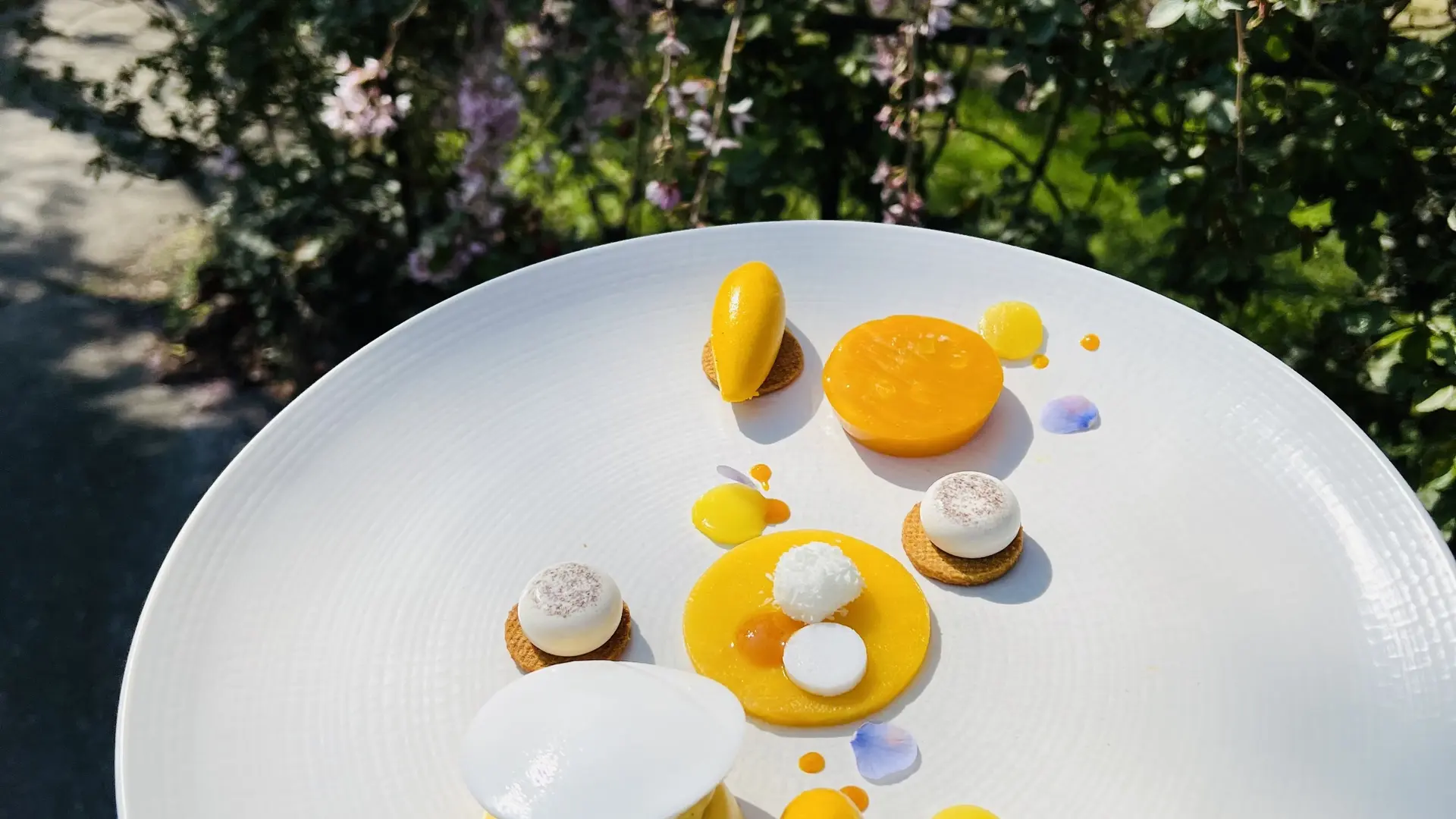 l'assiette autour de la mangue