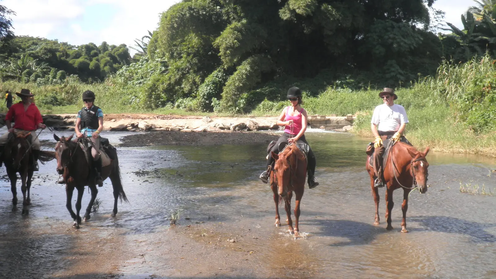 randonnée équestre, koné, koné rando, cheval, rivière