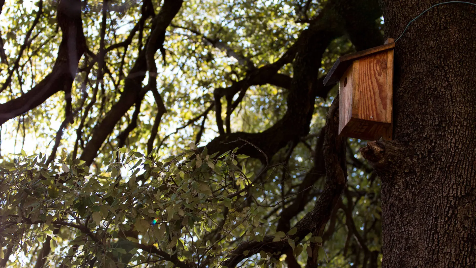 Source des Orris - La Roquebrussanne