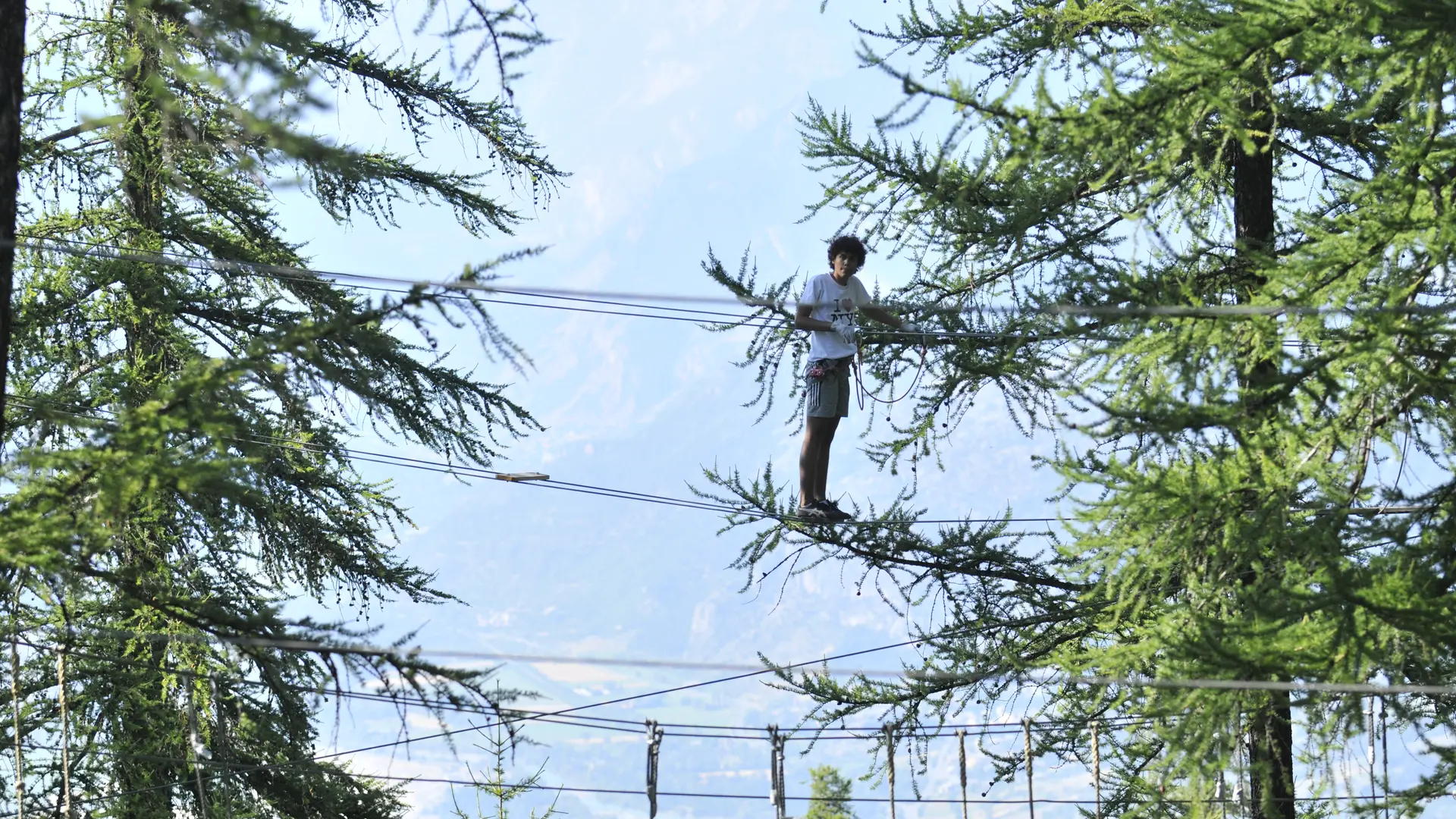 parcours accrobranche