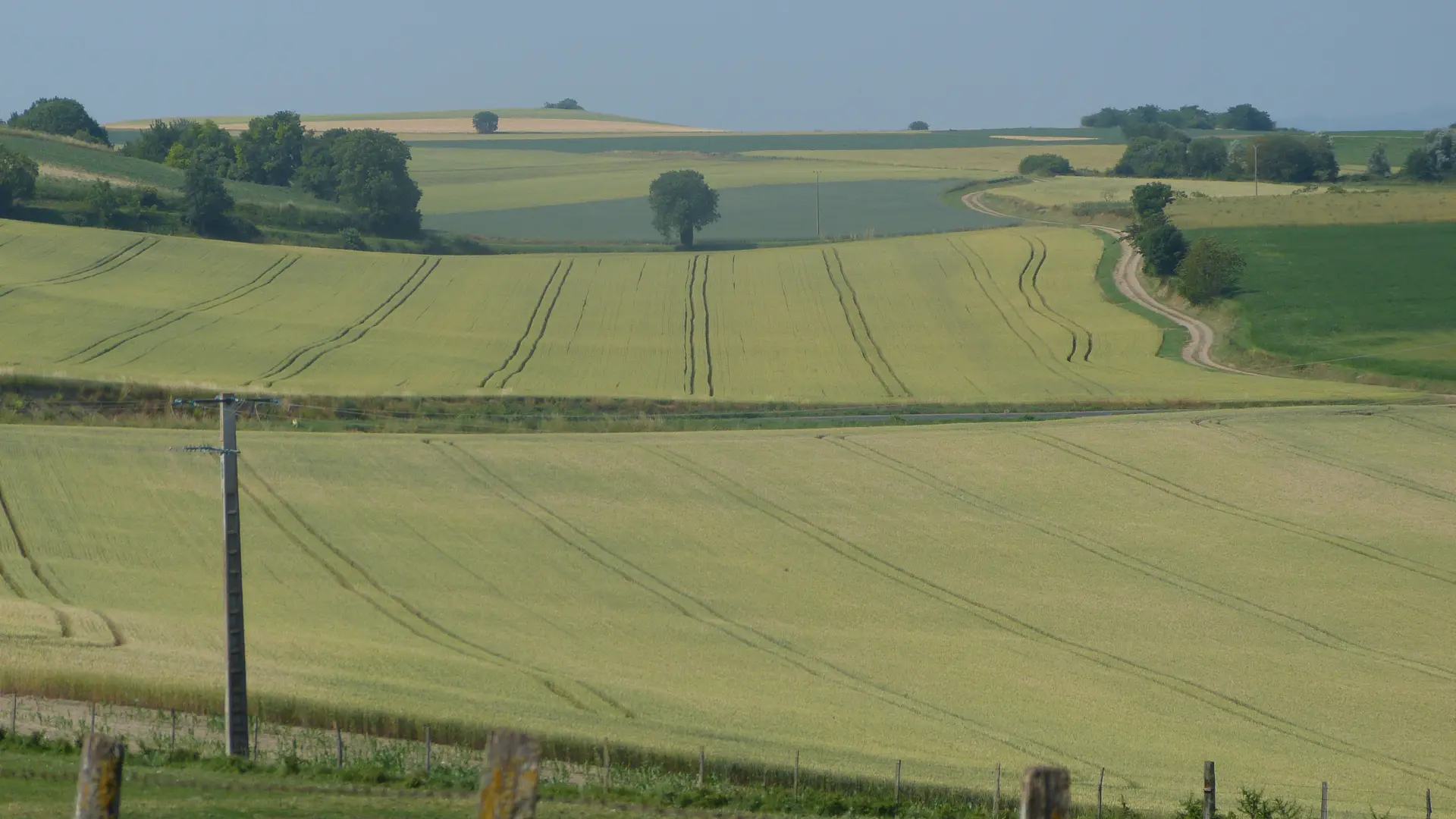 Randonnée Entre Limagne et Combrailles
