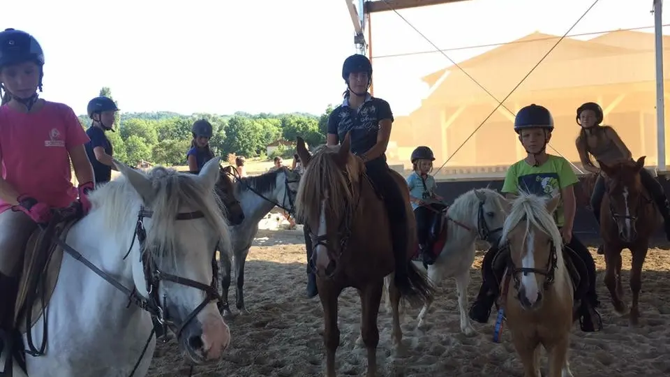 Pony park