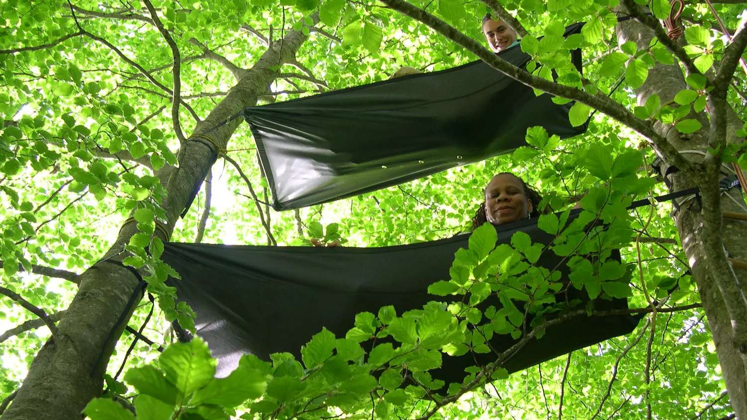 Accrobranche avec Au fil des branches