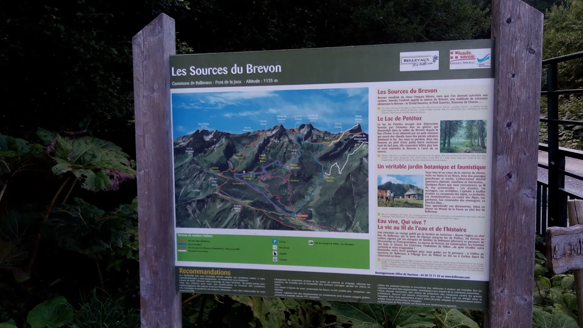 Source du Brevon 2