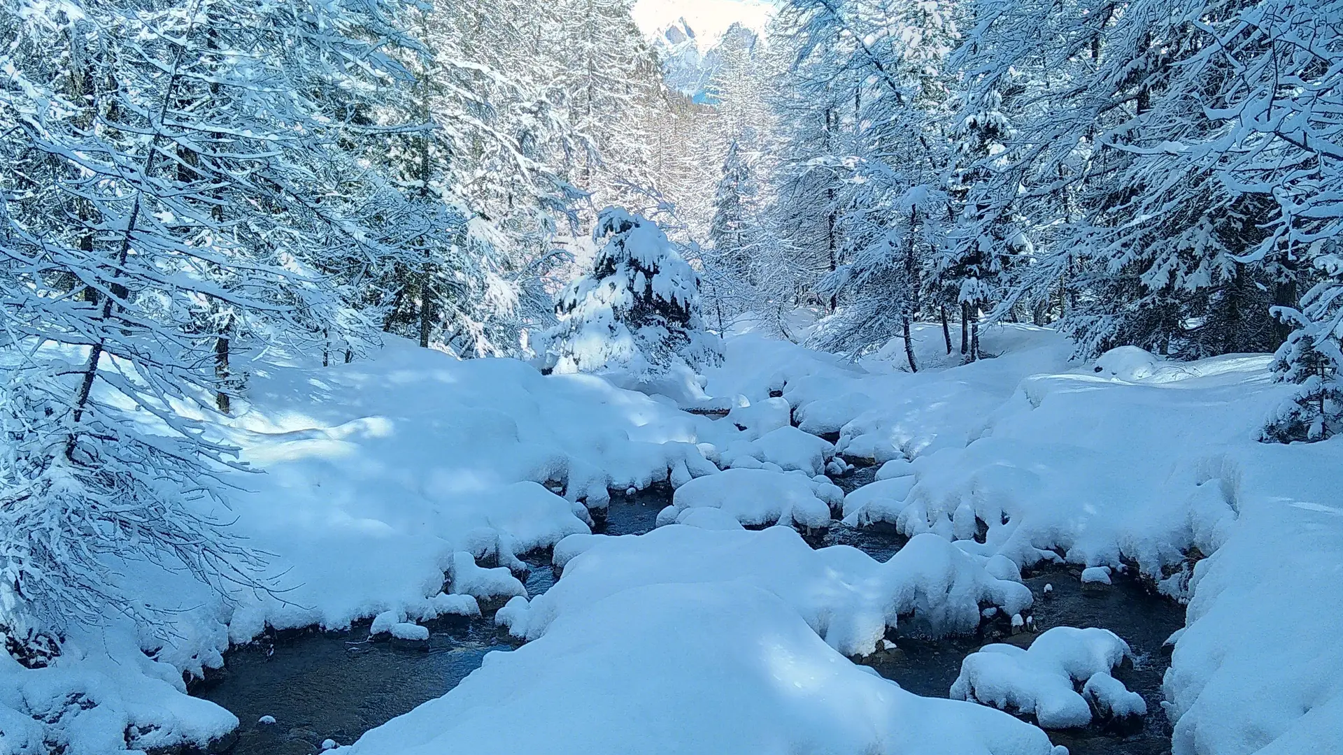 Balades en Raquettes aux Orres