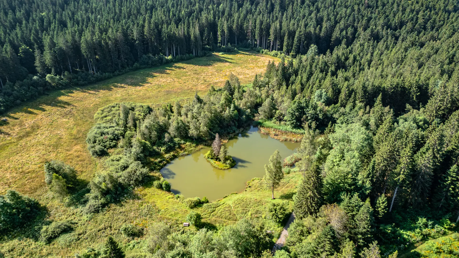 Cette photo aérienne dévoile un paysage verdoyant et paisible. Au centre, un petit lac tranquille niche dans une clairière. Autour de ce miroir d'eau, une prairie luxuriante se déploie, bordée par une forêt dense d'épicéas qui s'étend à perte de vue.