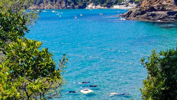 Sentier marin, une balade aquatique au Domaine du Rayol