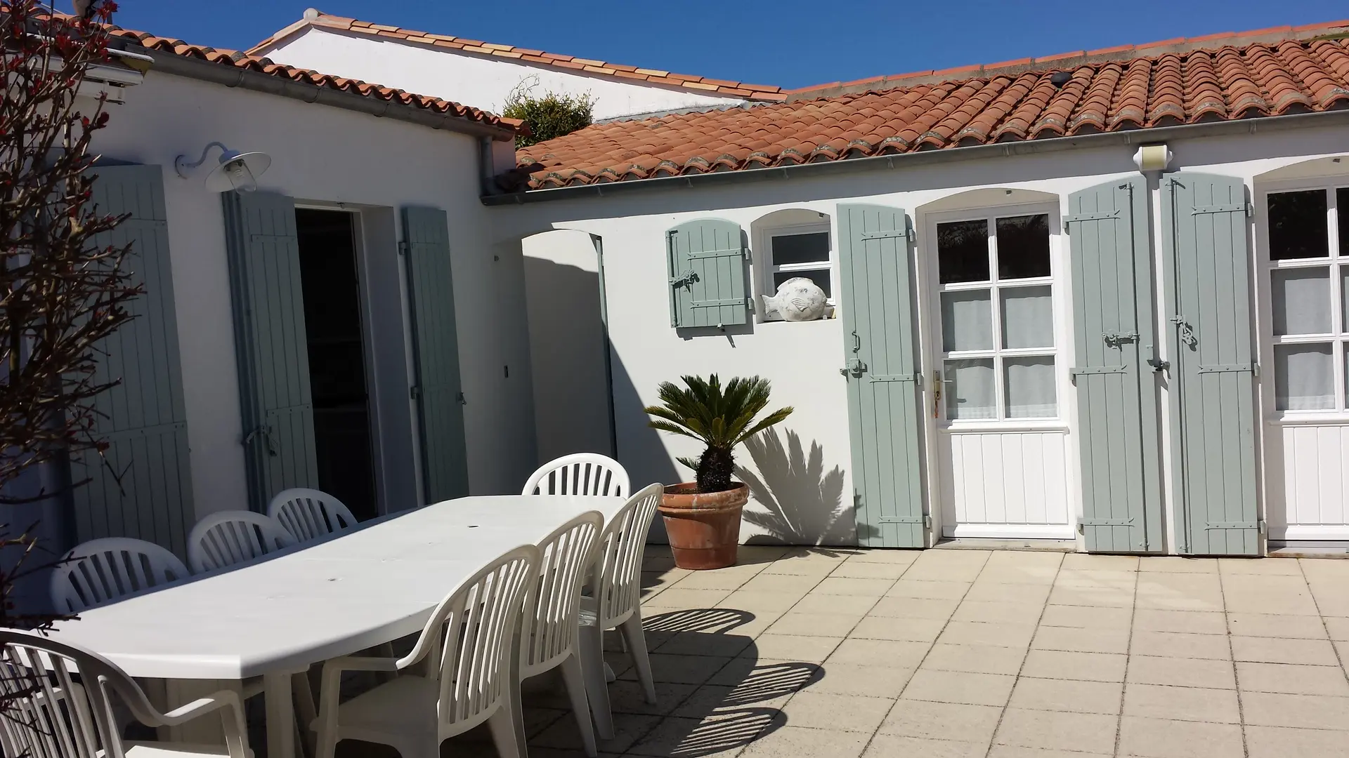Cour et terrasse