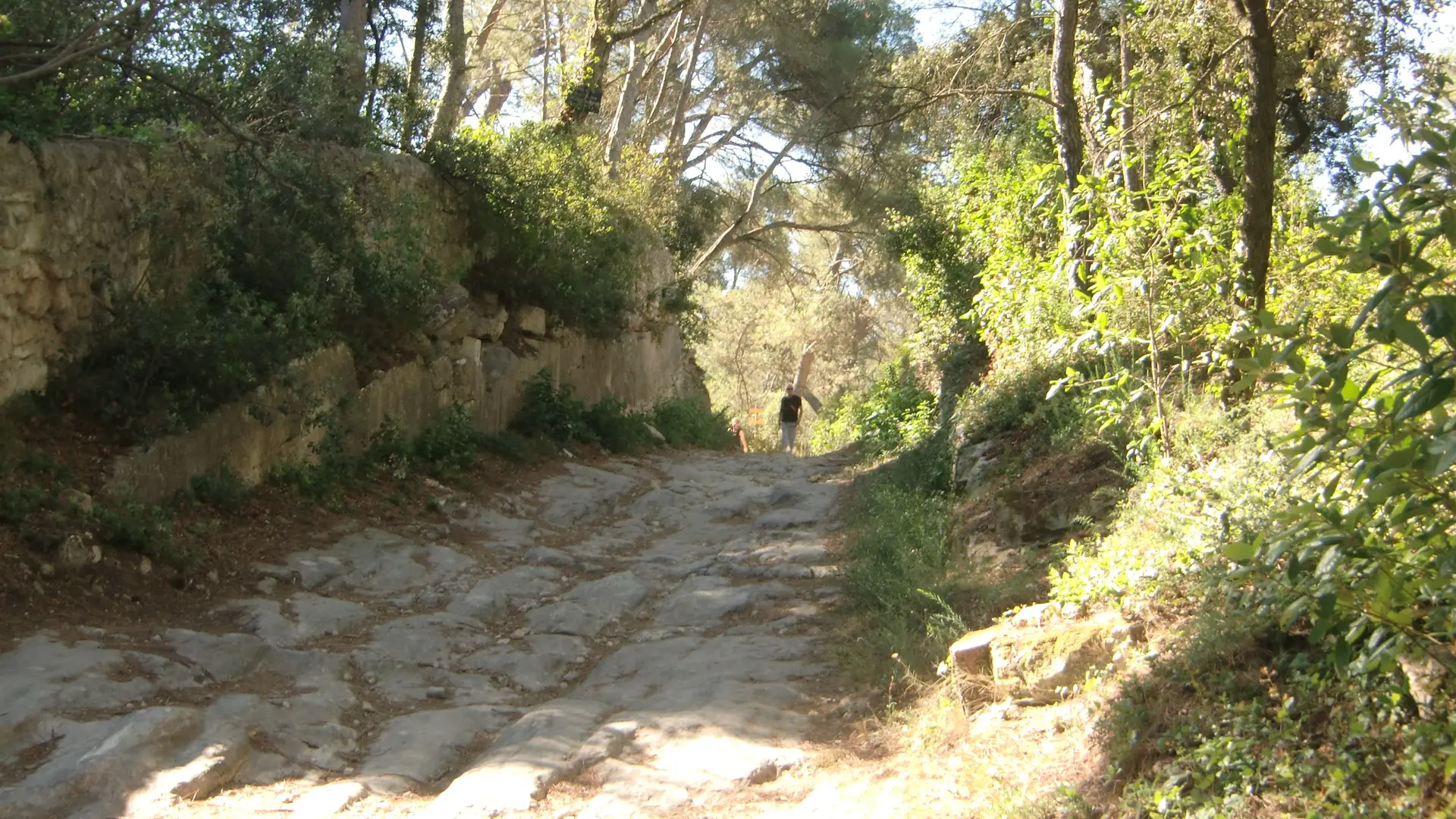 Sentier des moulins