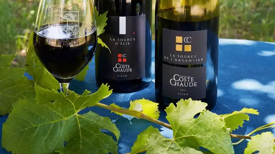 Domaine de Coste Chaude