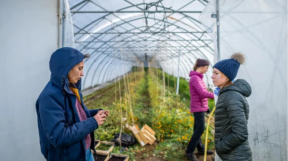 Les productrices de la ferme devant une de leurs serres.