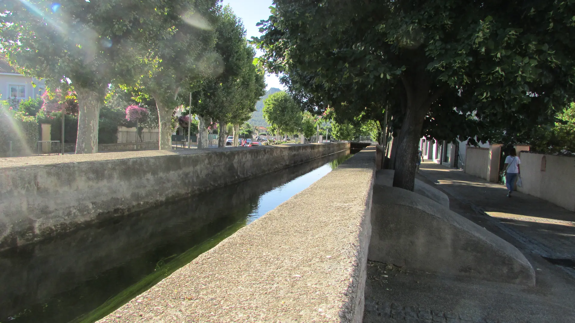 Le canal Jean Natte à La Crau