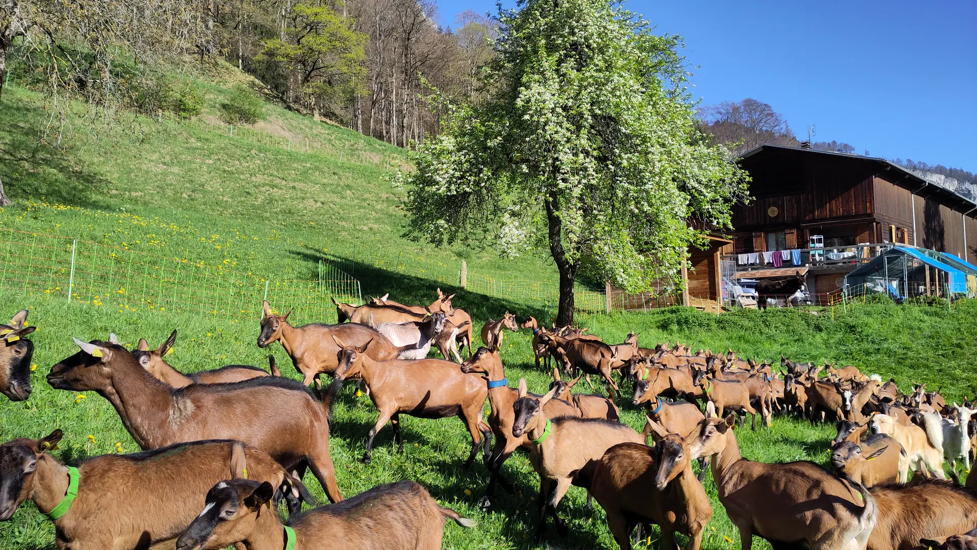 Premier jour de sortie au printemps, devant le bâtiment hivernal
