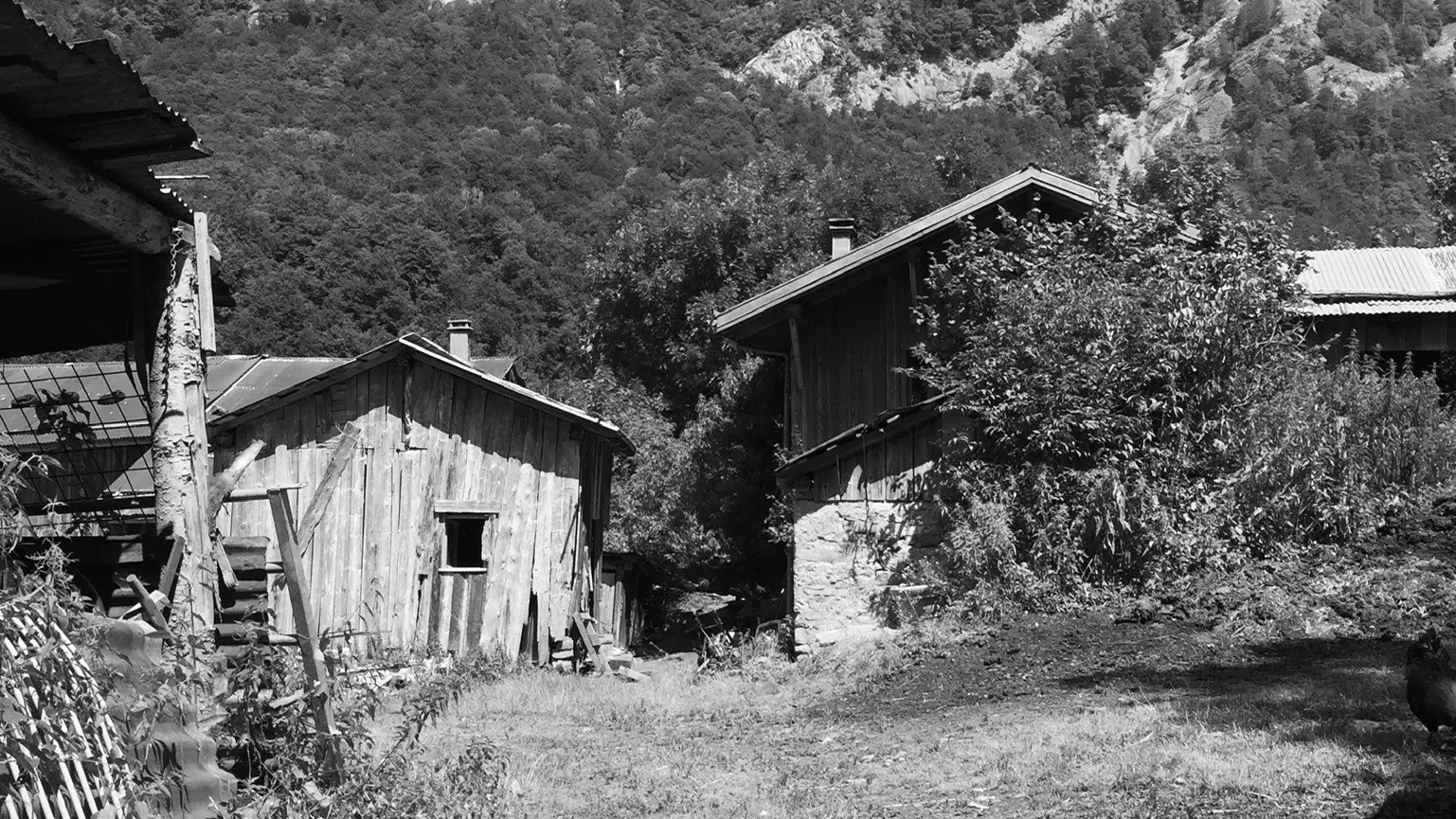 Visite de ferme poétique et contes