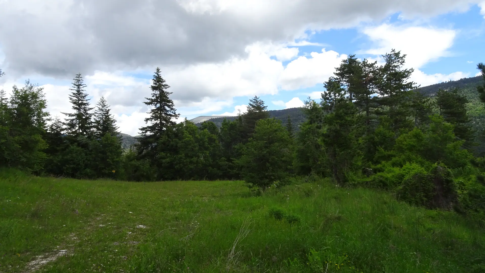 Le Coullet Saint André les Alpes