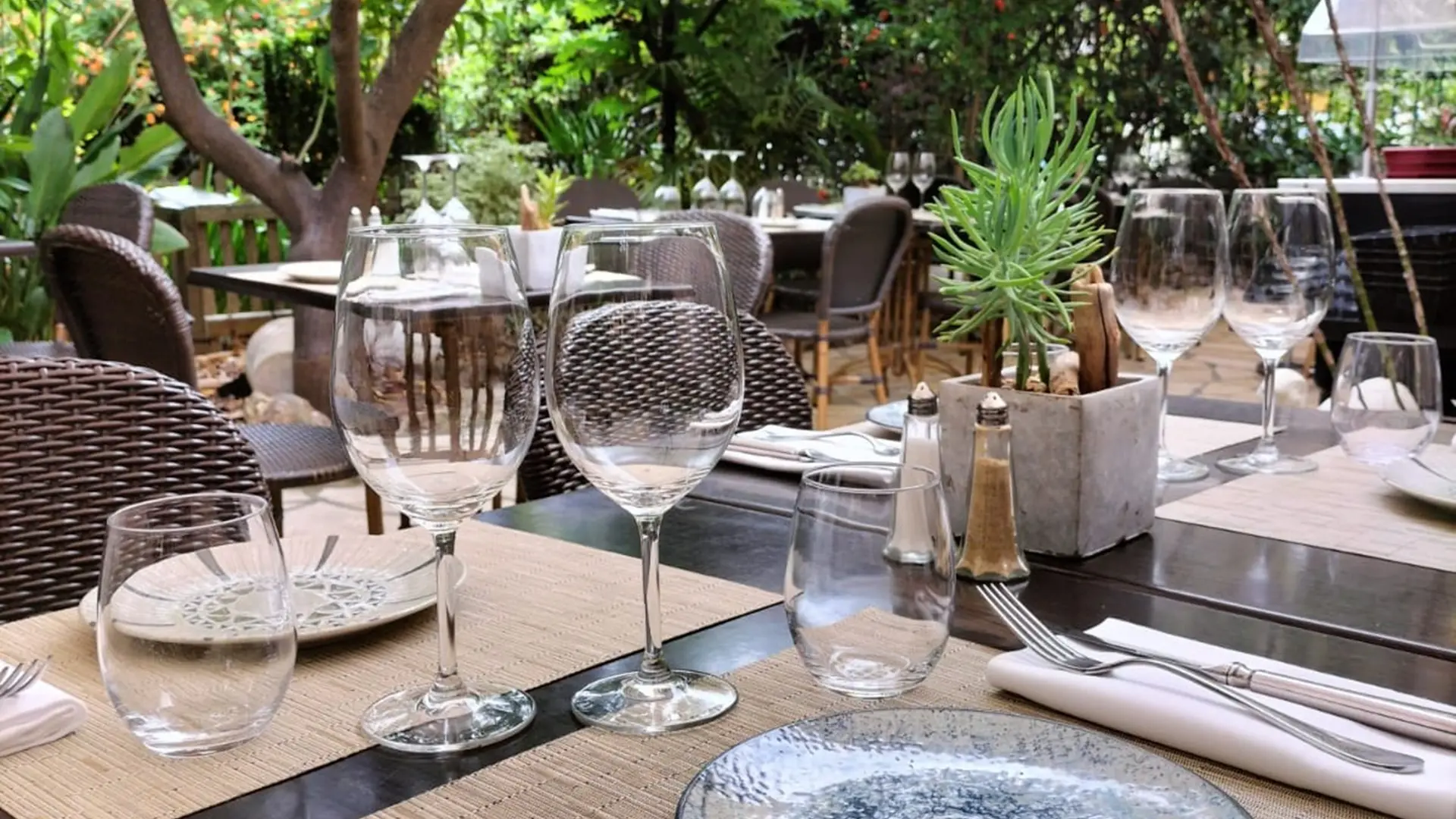 Terrasse dans un jardin ombragé