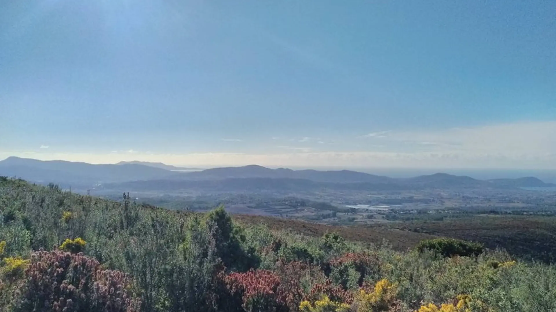 Panorama sur les collines et les massifs forestiers