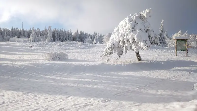 Plateau de la Verrerie
