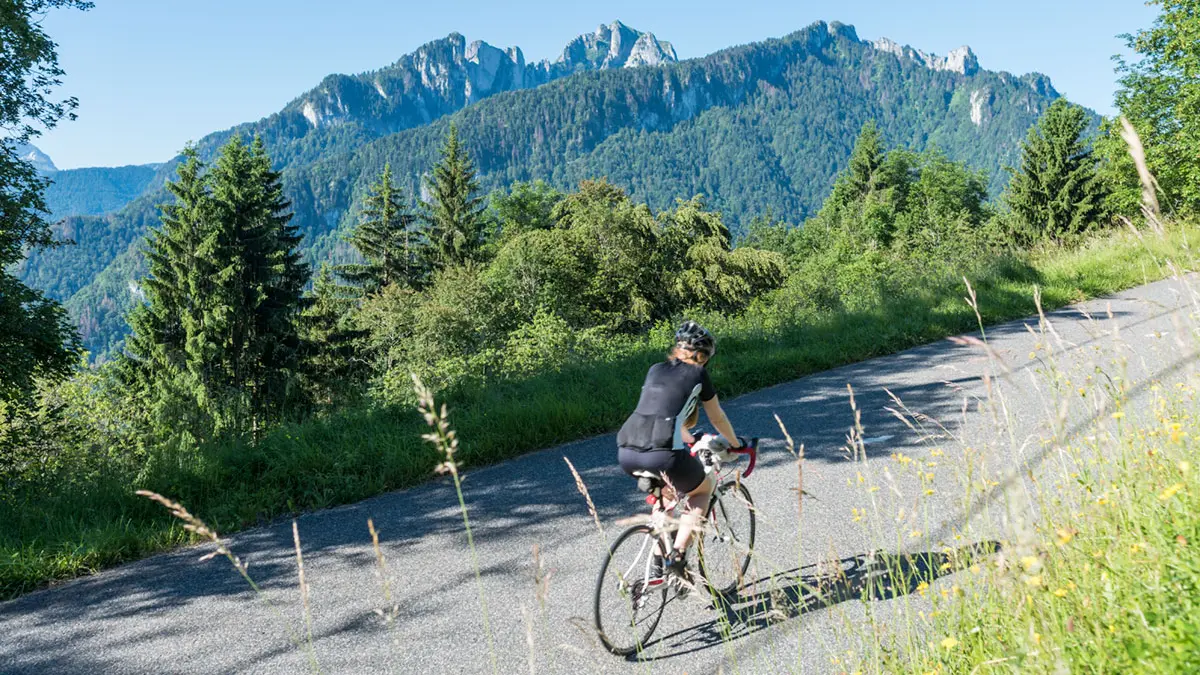Col du Grand Taillet coté La Forclaz