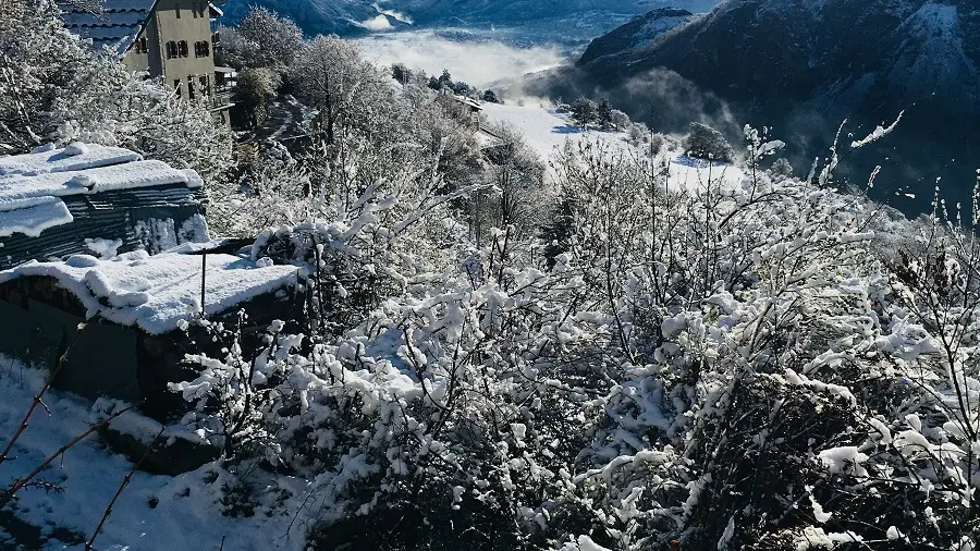 Vue