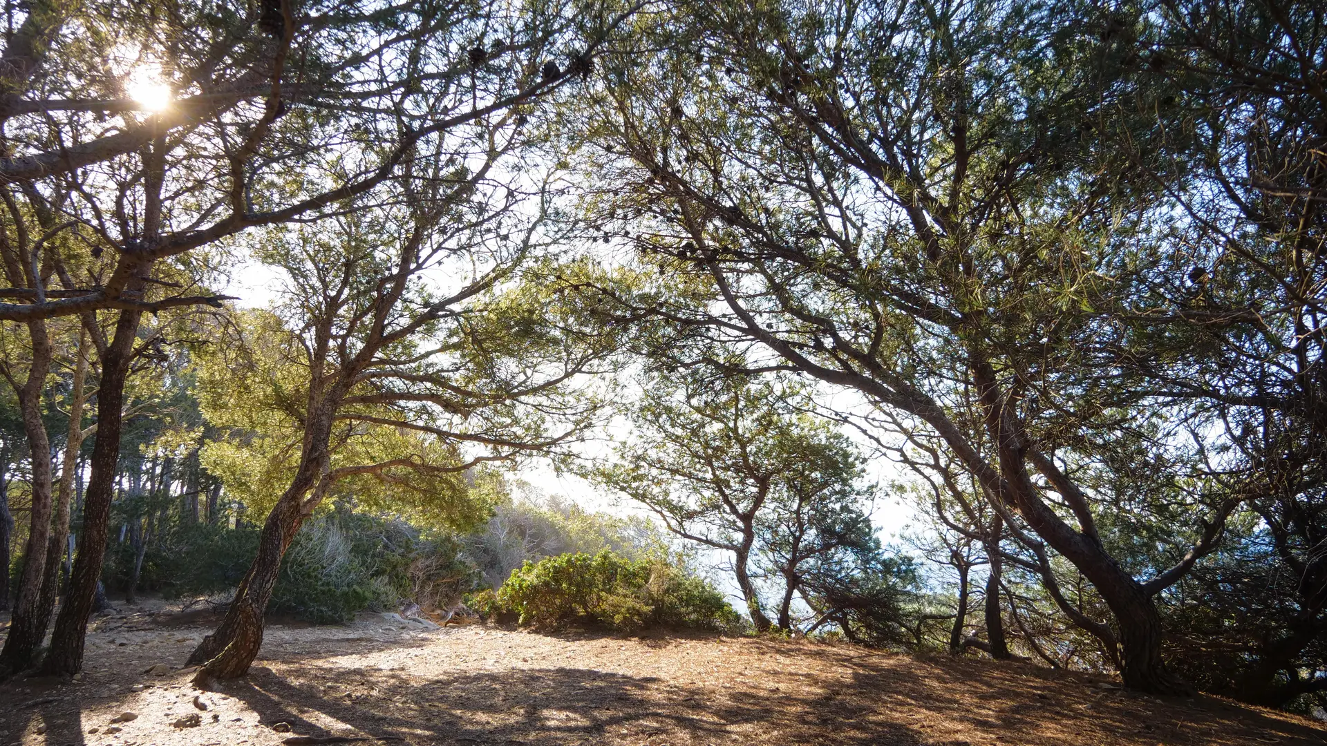Le Sentier du littoral entre Port d'Alon et la Pointe Fauconnière