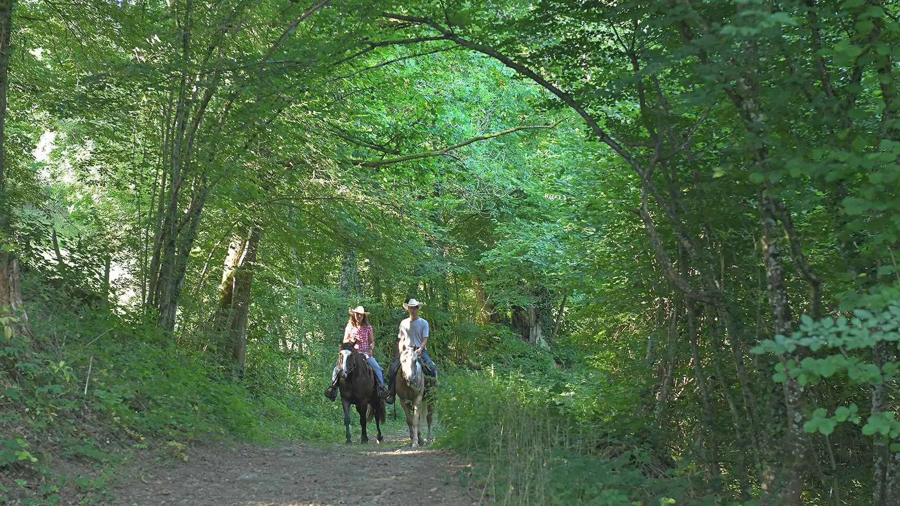 Randonnée équestre