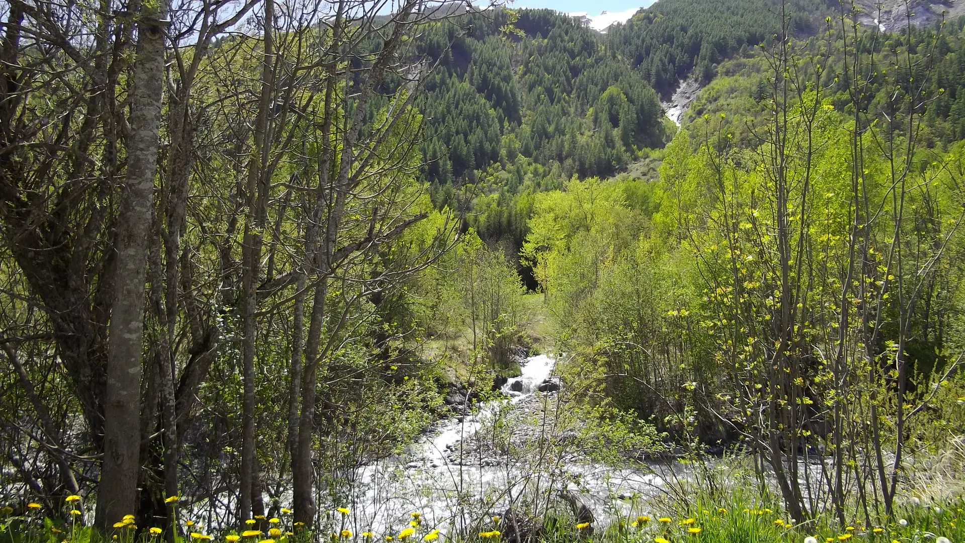 A proximité, le Torrent du Gyr