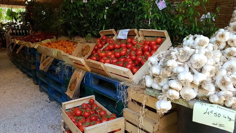 Entrée du magasin dans la forêt