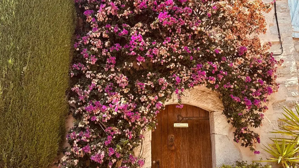 Hilios Tours : Escapade provençale_Bandol