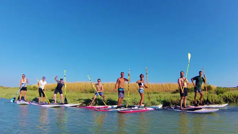 Stand up paddle dans les espaces naturels de l'île de ré