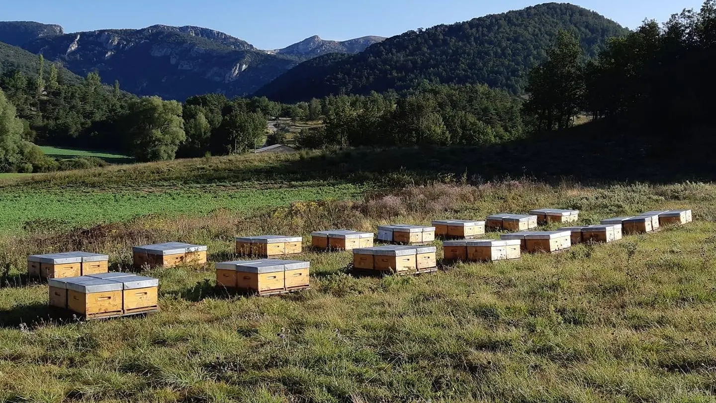 Les Ruchers des Archers