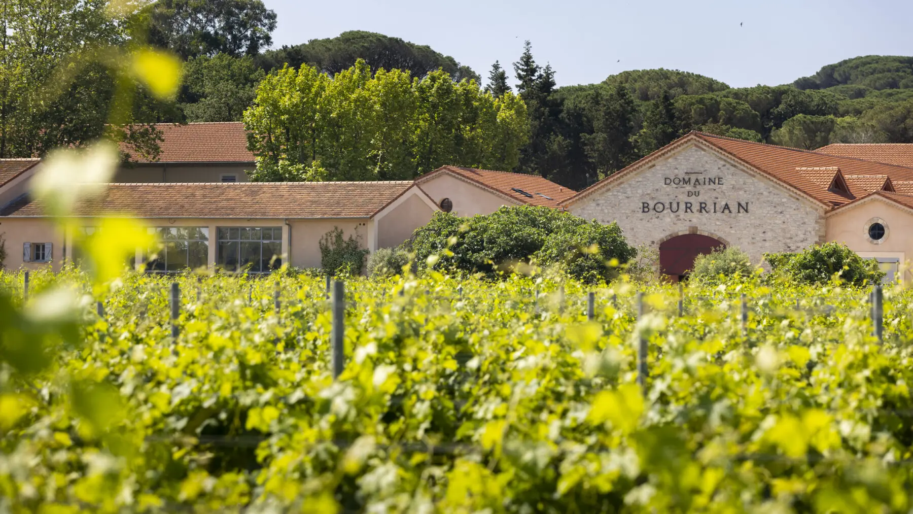 Domaine du Bourrian