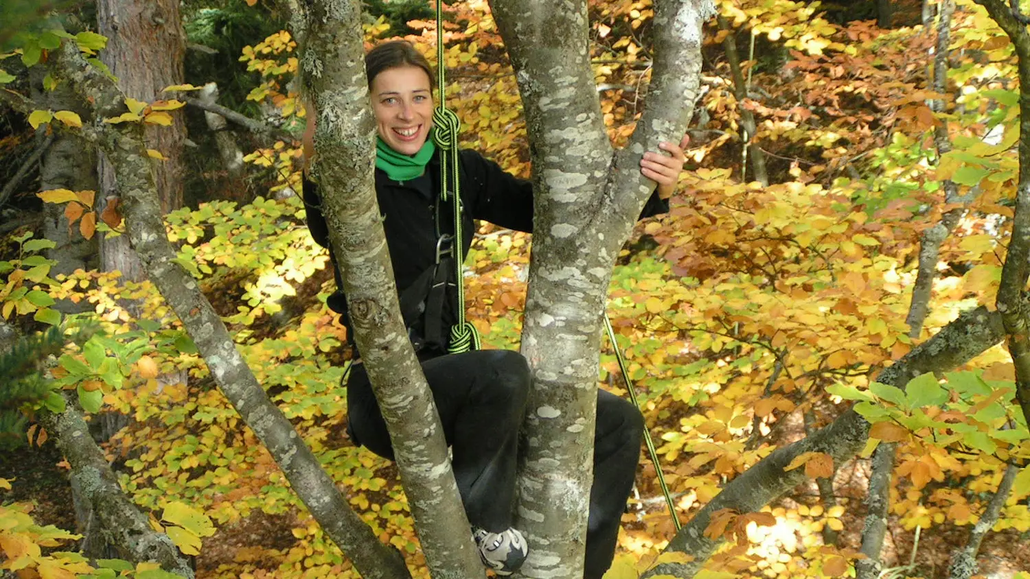 Accrobranche avec Au fil des branches