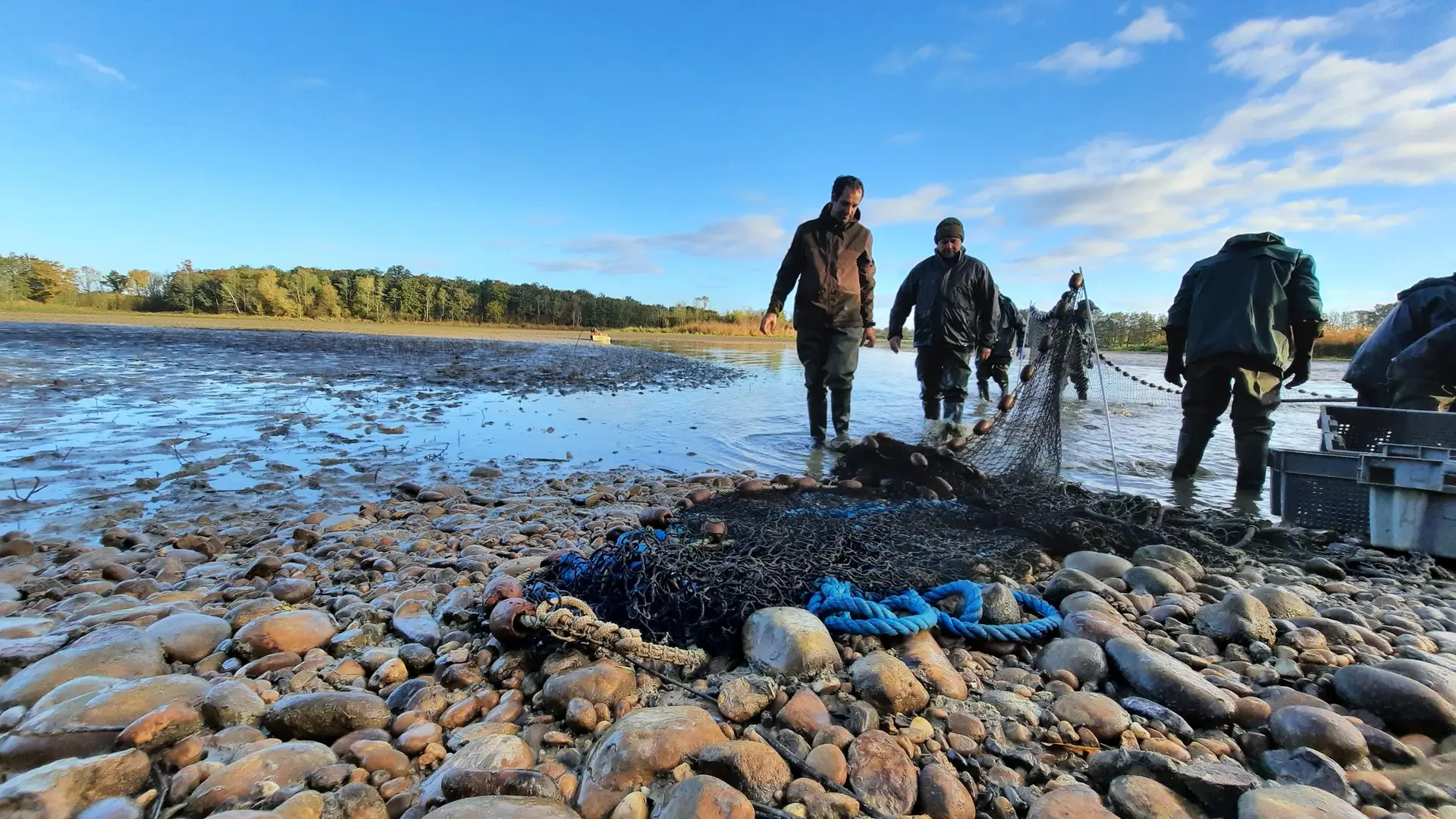 Pêche d'étang en Dombes