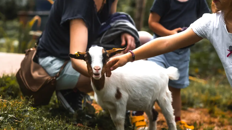 Ferme du Haut Chablais