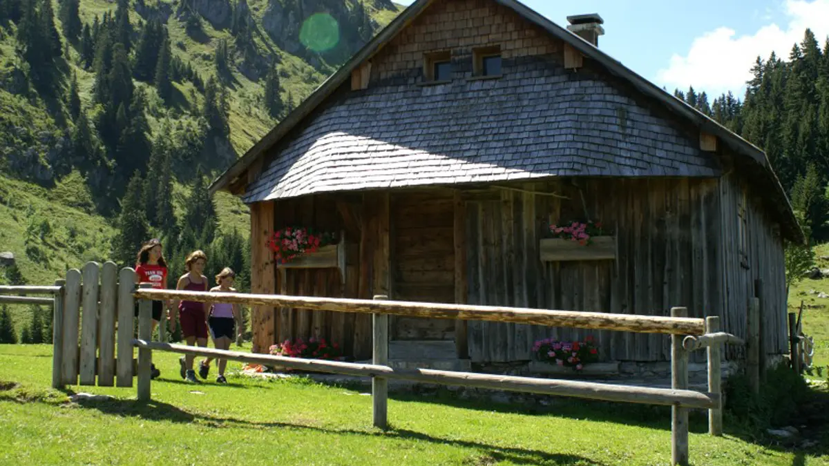 chalets de Petetoz