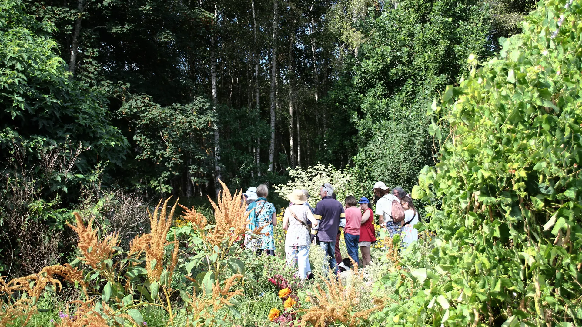 Fête de l'arbre
