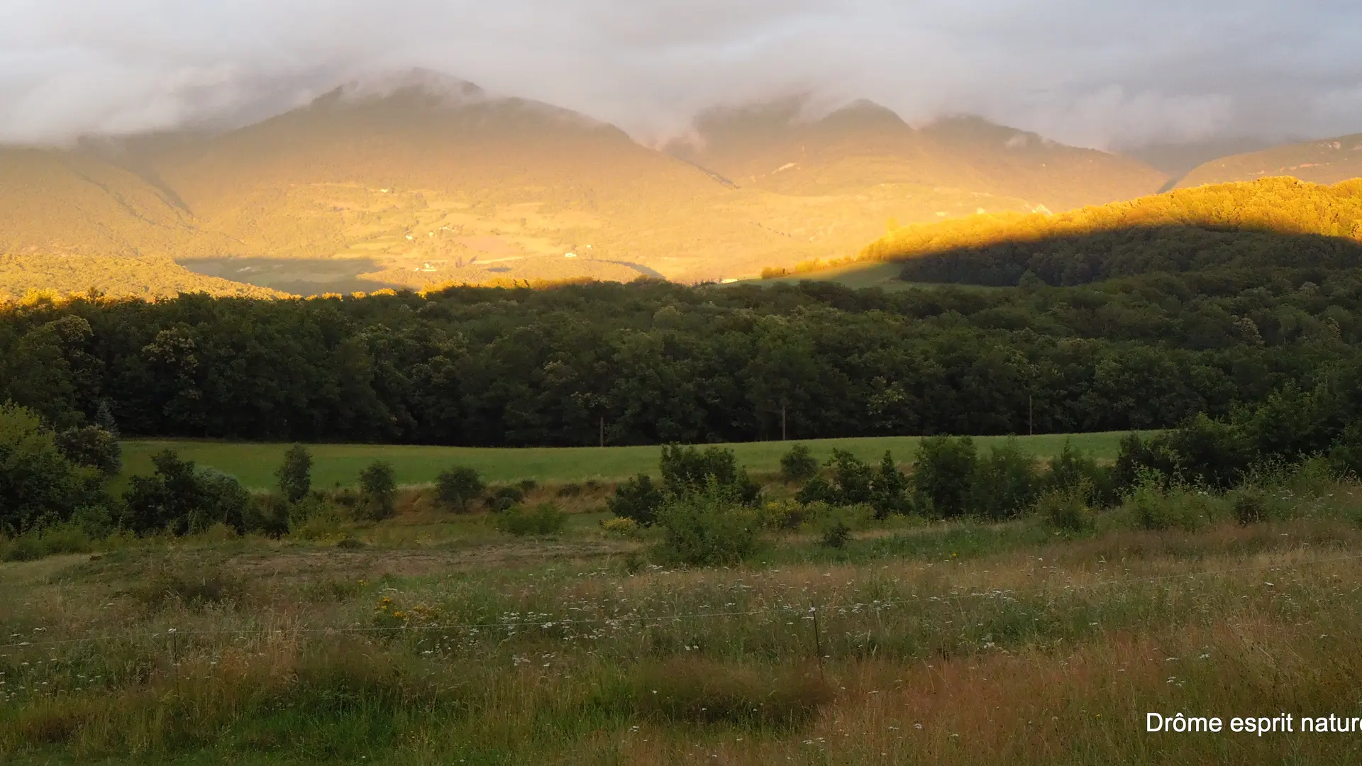 Paysage  lumiere du soir