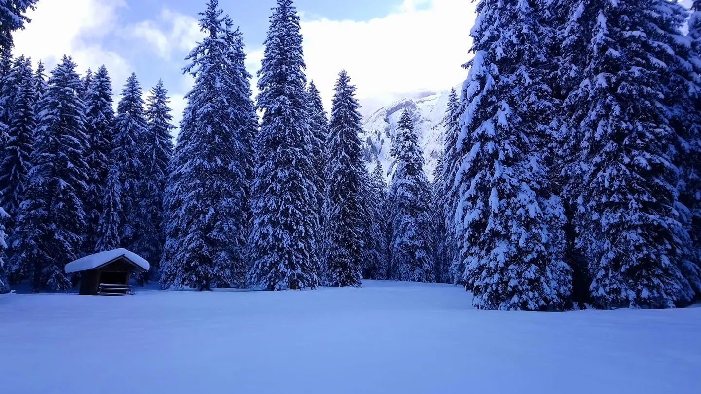 Magical Snow Treks