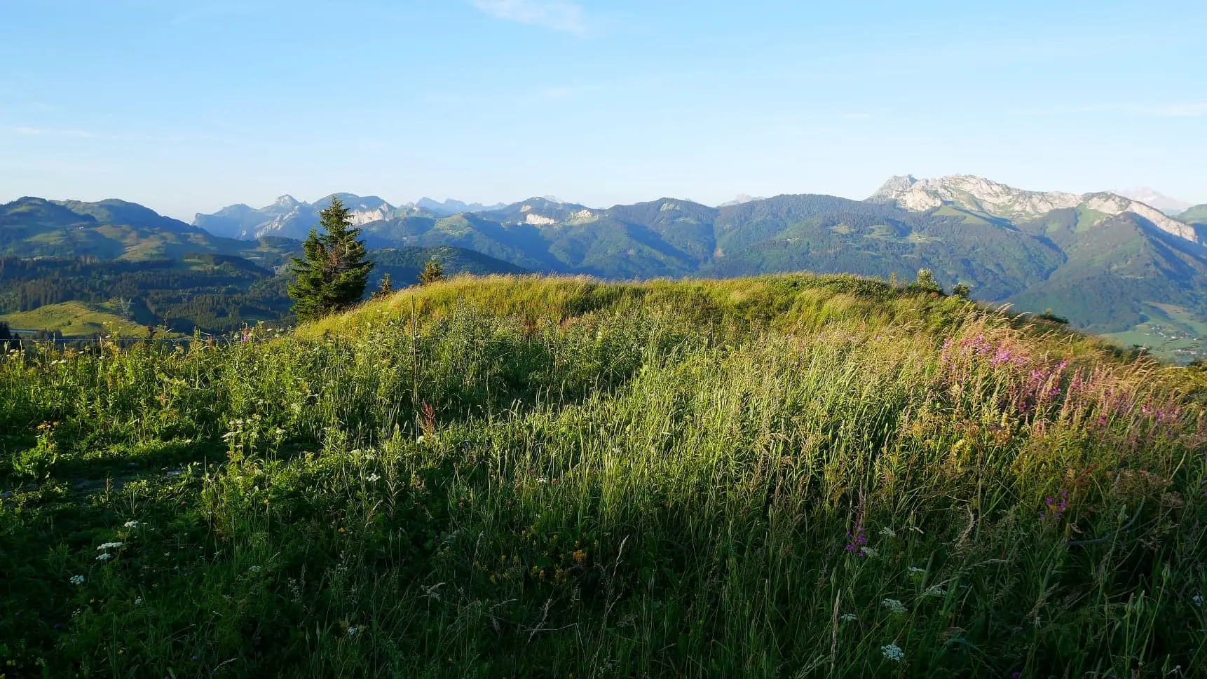 Point de vue depuis le parcours de VTT