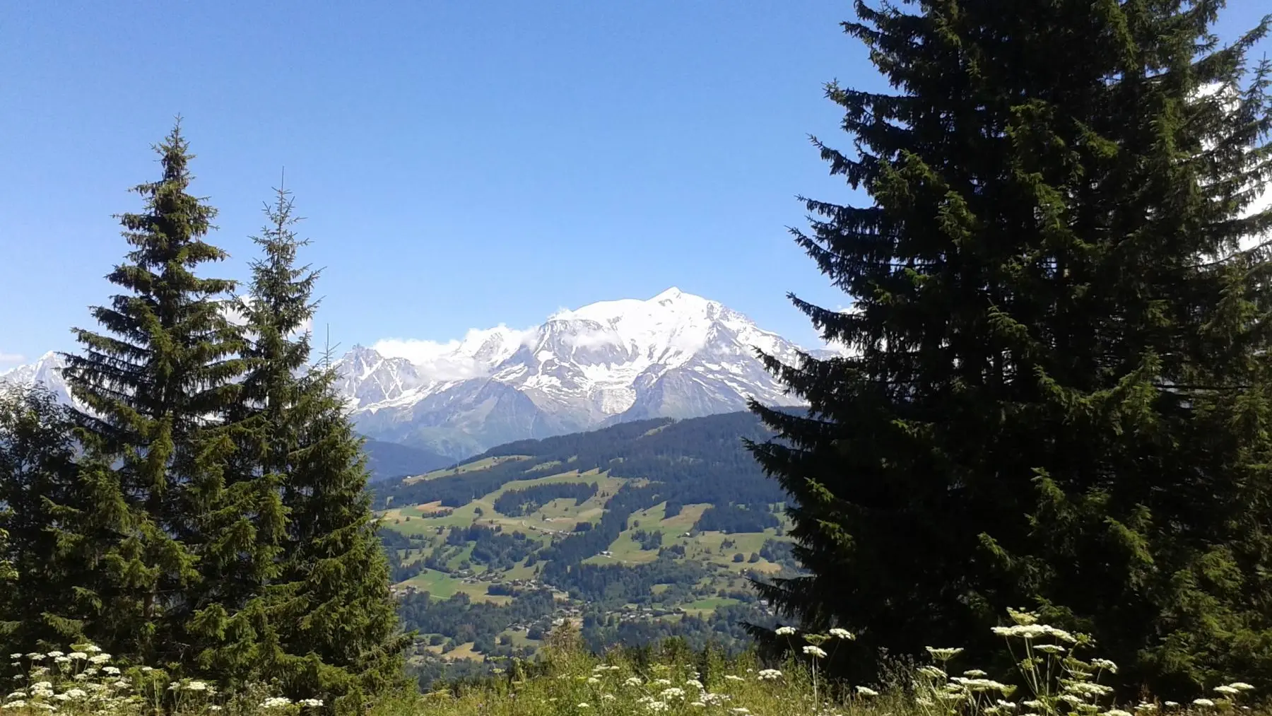Vue du Mont Blanc depuis le Jaillet