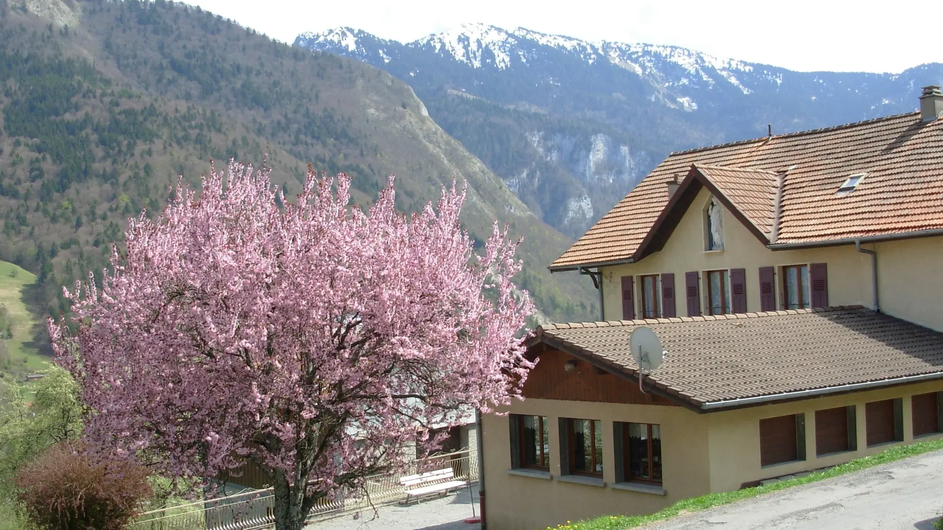 extérieur vue montagnes