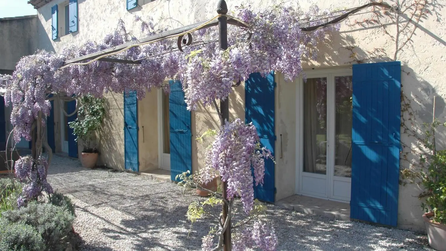 MAS DES SENTEURS JARDIN avec Glycine au printemps