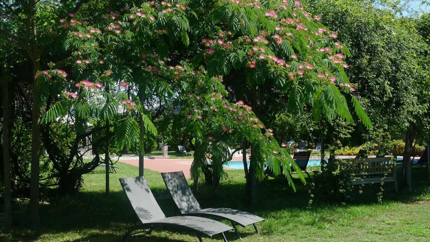pergola en fleurs