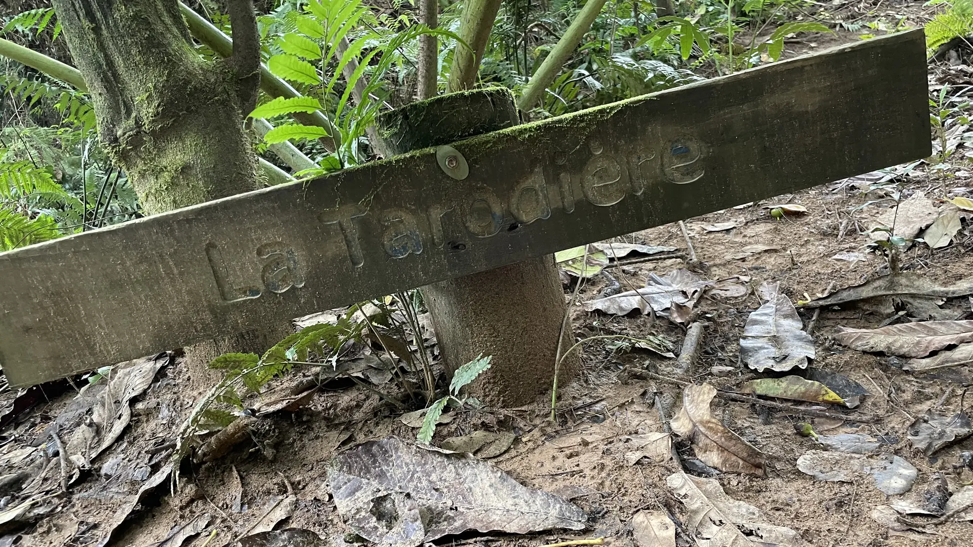 paysage, randonnée pédestre, sentier, koné tiwaka, espace de l'ouest