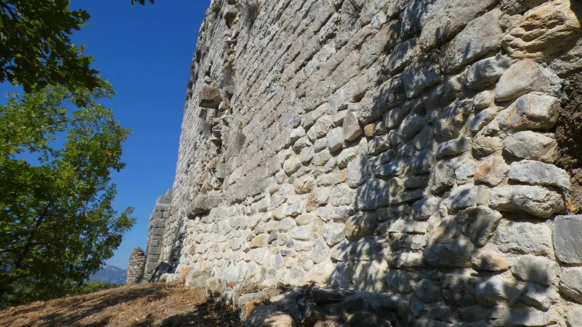 Ruines du château d'Arzeliers