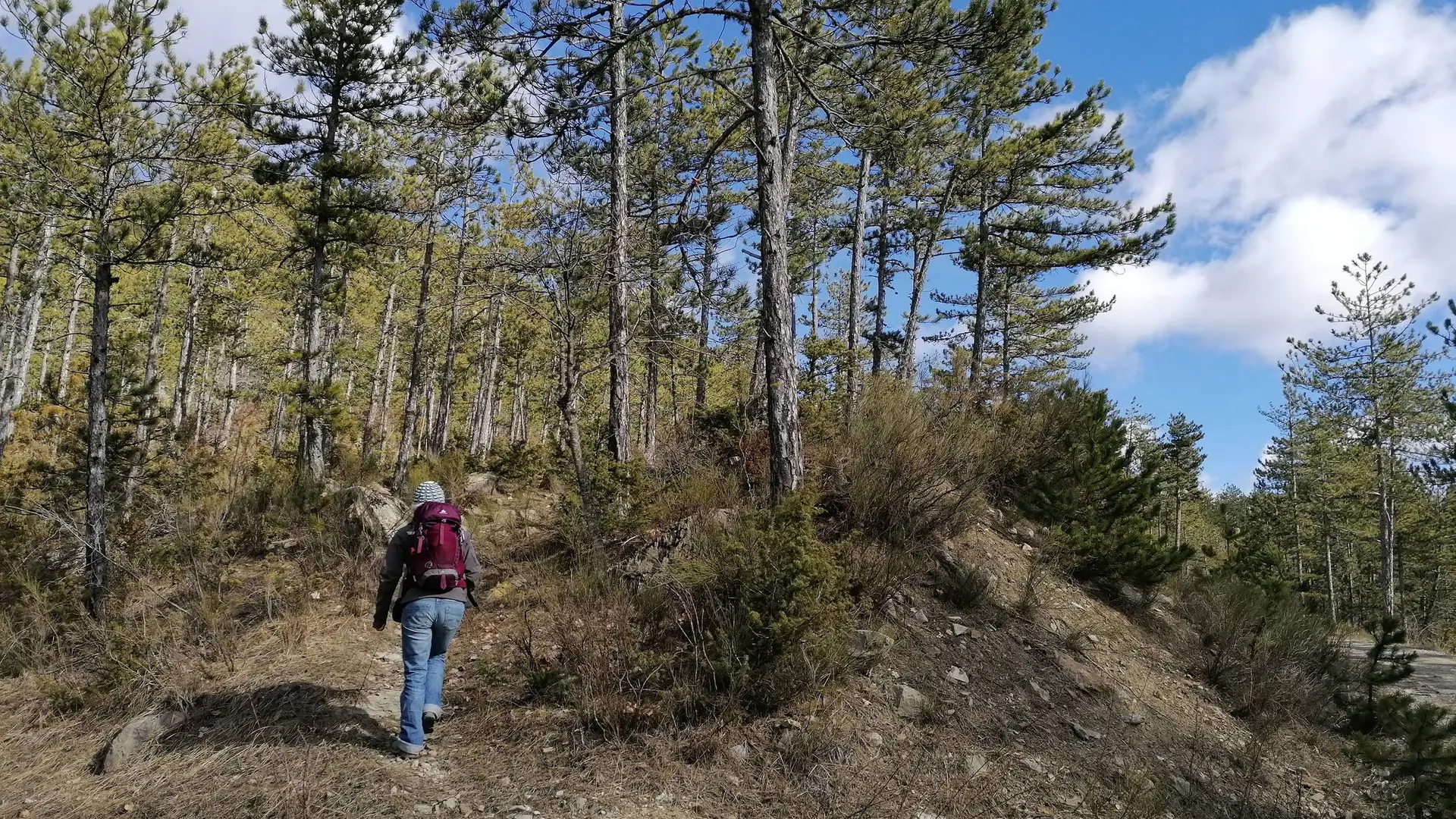 Petit sentier discret qui part en direction de la Chapelle