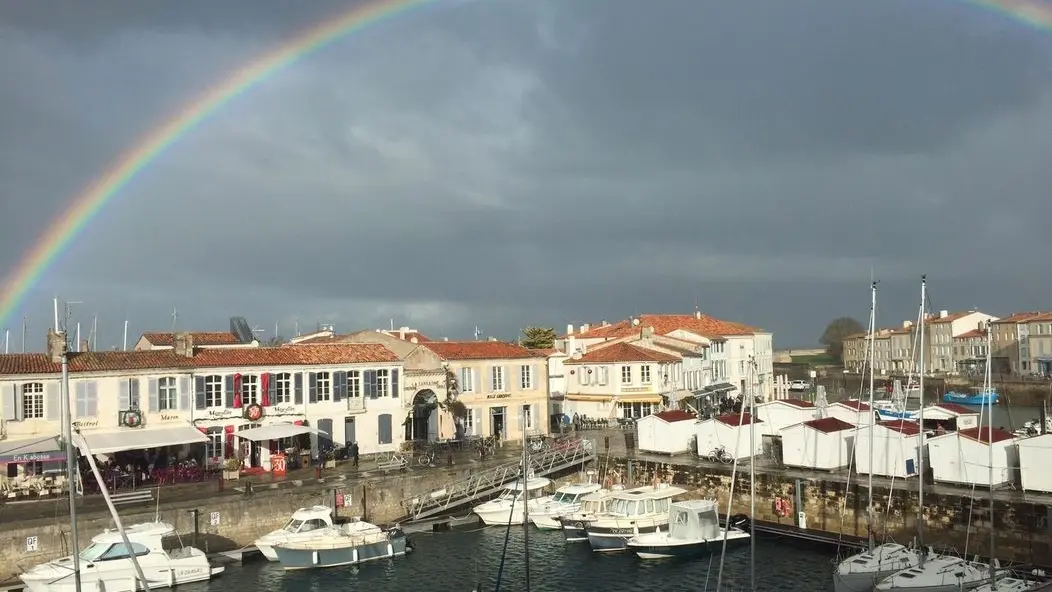 port view from the studio