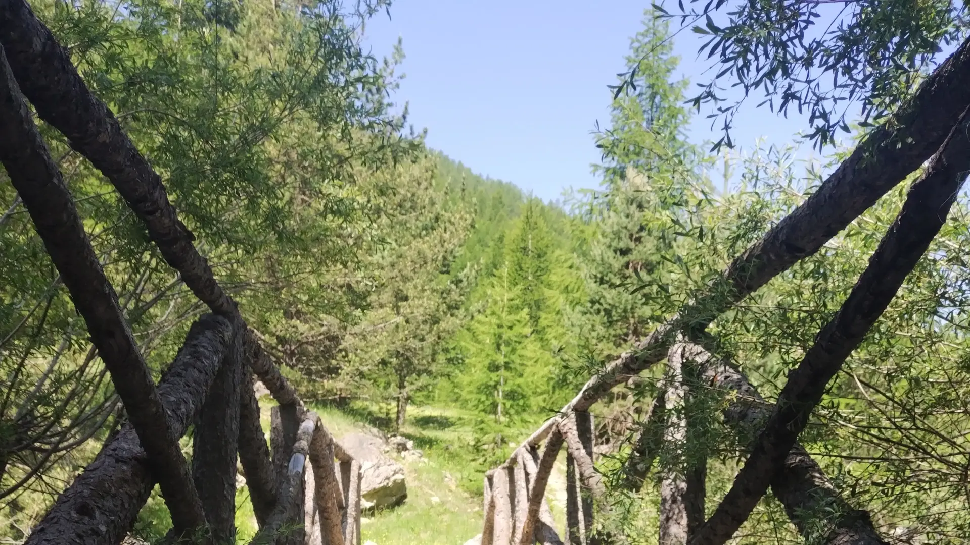 Pont au dessus du torrent des Ayes